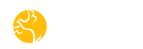 Pigeonify